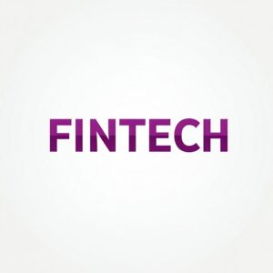 Risk in the Fintech Industry